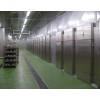 Камера інтенсивного охолодження Mauting ZKM